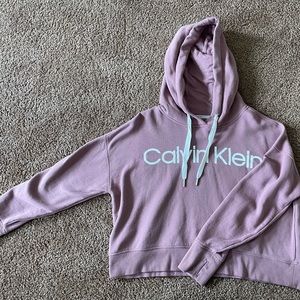 Calvin Klein Cropped Hoodie